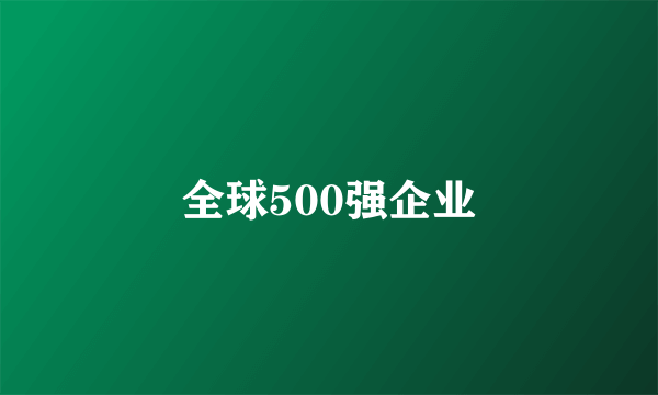 全球500强企业