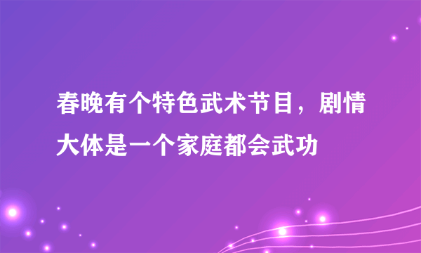春晚有个特色武术节目，剧情大体是一个家庭都会武功