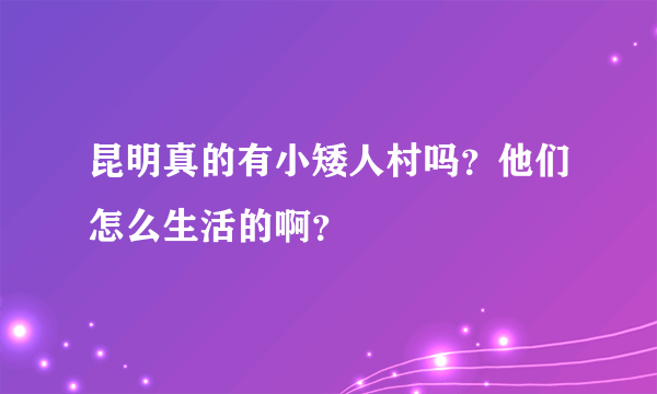 昆明真的有小矮人村吗？他们怎么生活的啊？