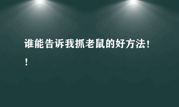 谁能告诉我抓老鼠的好方法！！