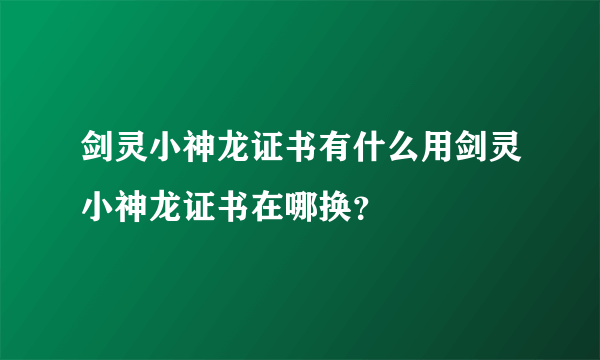剑灵小神龙证书有什么用剑灵小神龙证书在哪换？