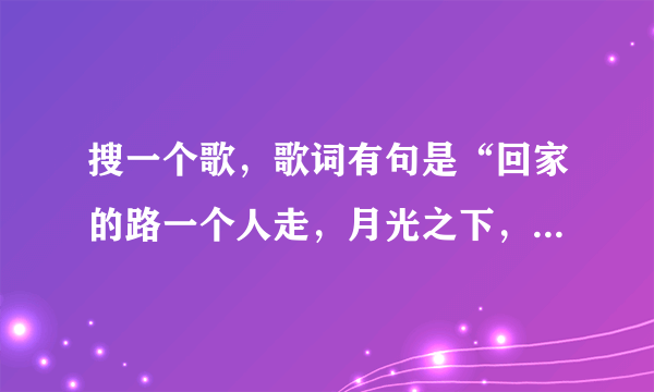 搜一个歌，歌词有句是“回家的路一个人走，月光之下，你曾说过爱我”？