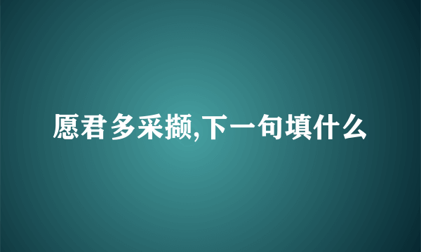 愿君多采撷,下一句填什么