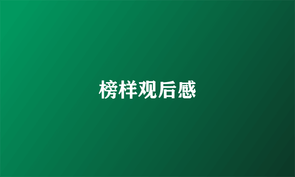 榜样观后感