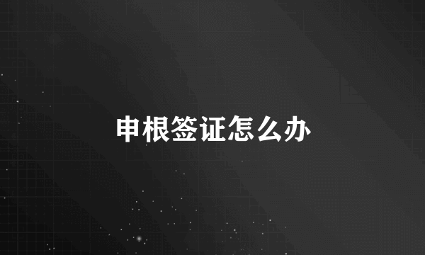 申根签证怎么办