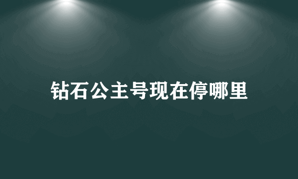钻石公主号现在停哪里