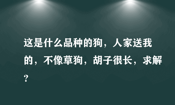 这是什么品种的狗，人家送我的，不像草狗，胡子很长，求解？