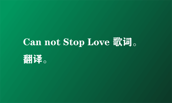 Can not Stop Love 歌词。翻译。