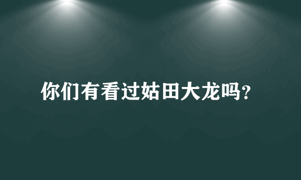 你们有看过姑田大龙吗？