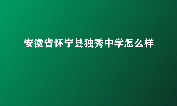 安徽省怀宁县独秀中学怎么样