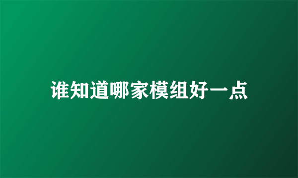 谁知道哪家模组好一点