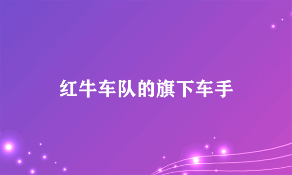 红牛车队的旗下车手