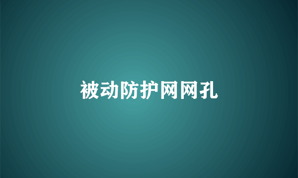 被动防护网网孔
