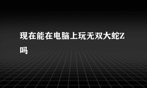 现在能在电脑上玩无双大蛇Z吗