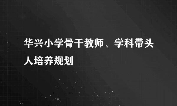 华兴小学骨干教师、学科带头人培养规划