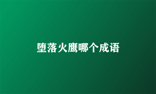 堕落火鹰哪个成语