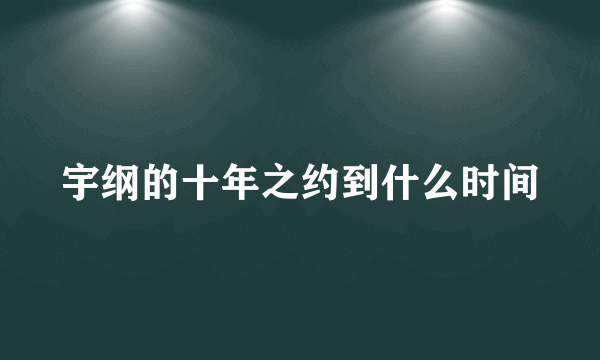 宇纲的十年之约到什么时间