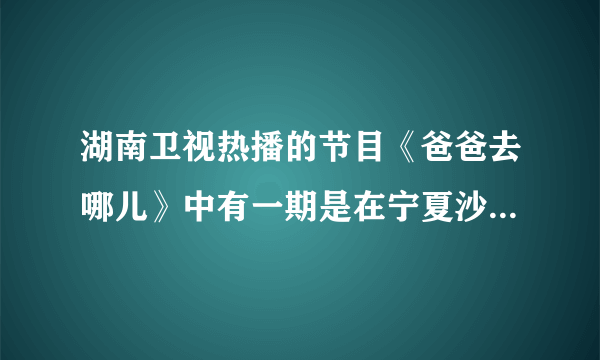 湖南卫视热播的节目《爸爸去哪儿》中有一期是在宁夏沙漠拍摄的,在沙漠中他们进行了一项活动(如图):滑板滑沙。若想知道该活动中滑板拖到沙坡顶克服重力做功的功率,你必须测得的物理量是滑板的重力、________________、拖到沙坡顶所用的时间。