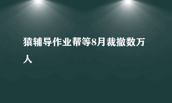猿辅导作业帮等8月裁撤数万人