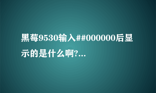 黑莓9530输入##000000后显示的是什么啊?都代表什么意思啊？？