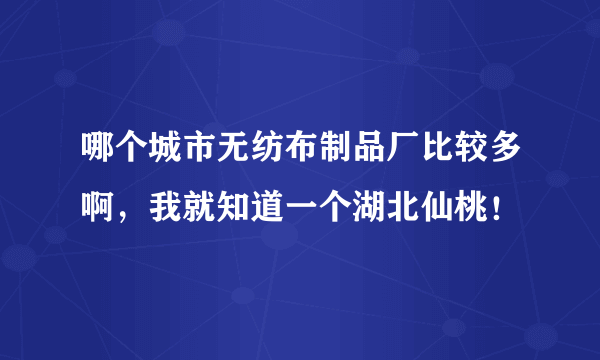 哪个城市无纺布制品厂比较多啊，我就知道一个湖北仙桃！
