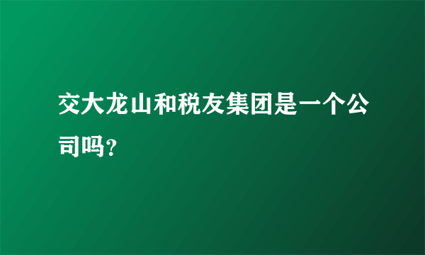 交大龙山和税友集团是一个公司吗？
