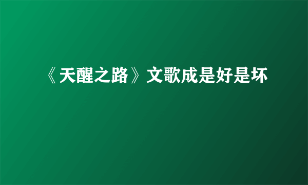 《天醒之路》文歌成是好是坏