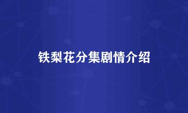 铁梨花分集剧情介绍