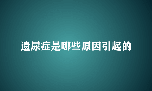 遗尿症是哪些原因引起的
