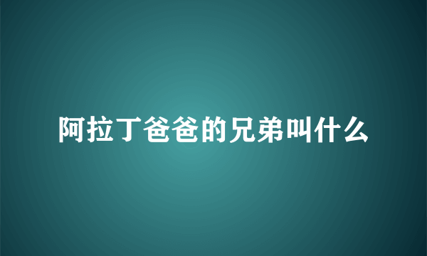 阿拉丁爸爸的兄弟叫什么