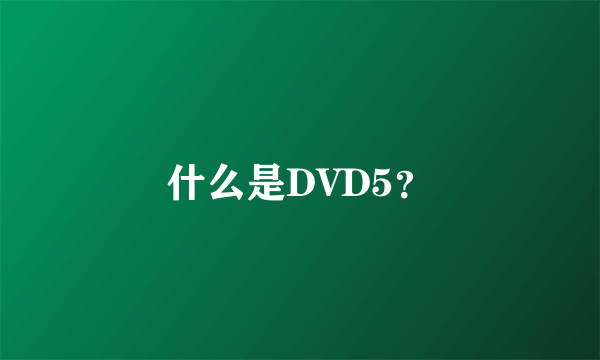 什么是DVD5？