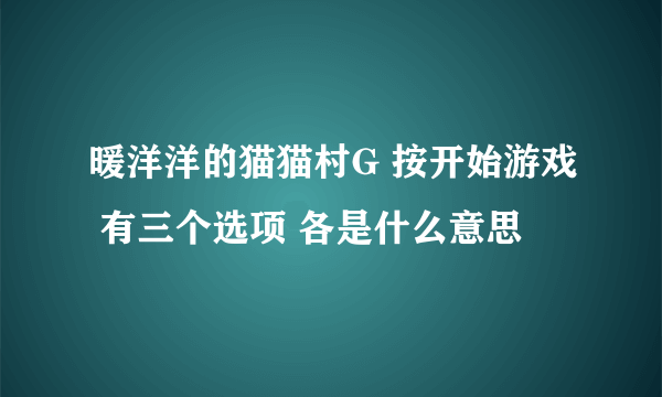 暖洋洋的猫猫村G 按开始游戏 有三个选项 各是什么意思