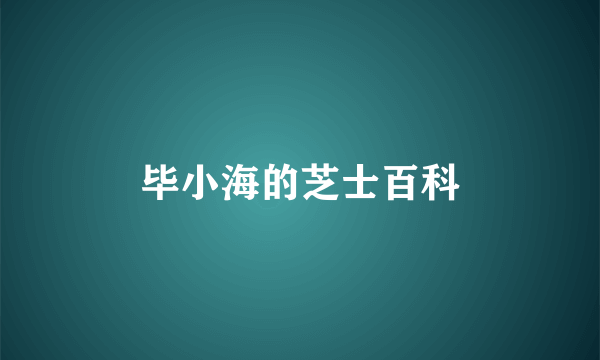 毕小海的芝士百科
