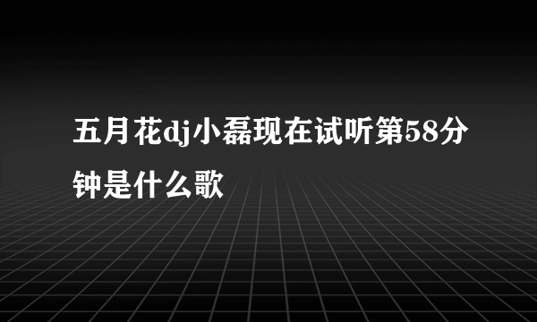 五月花dj小磊现在试听第58分钟是什么歌