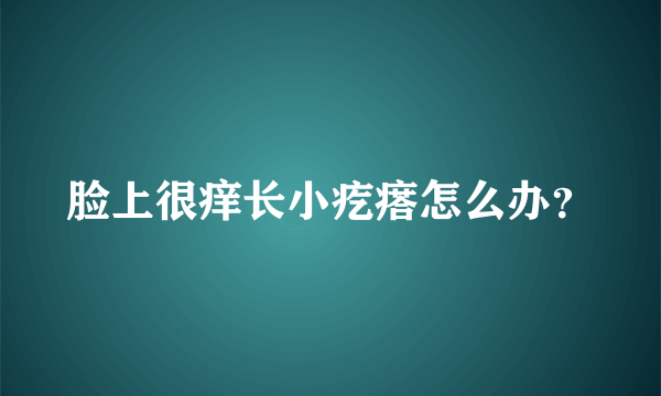 脸上很痒长小疙瘩怎么办？