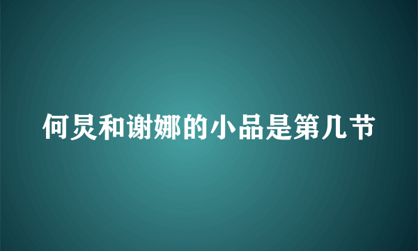 何炅和谢娜的小品是第几节