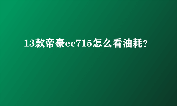 13款帝豪ec715怎么看油耗？