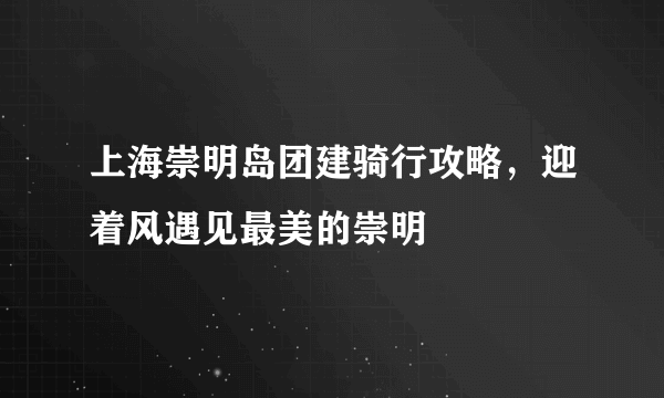上海崇明岛团建骑行攻略，迎着风遇见最美的崇明