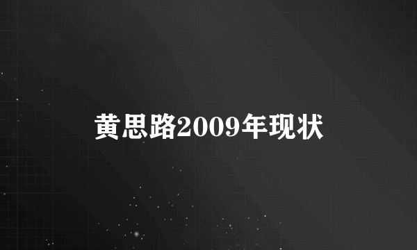 黄思路2009年现状
