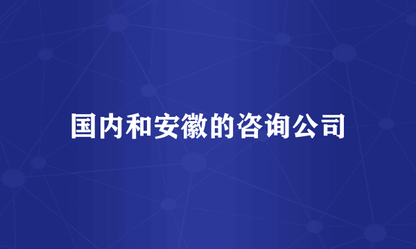 国内和安徽的咨询公司