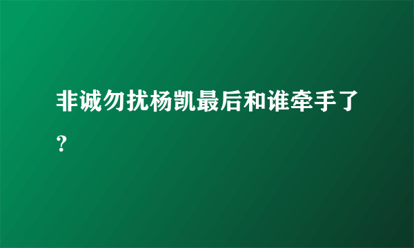 非诚勿扰杨凯最后和谁牵手了？