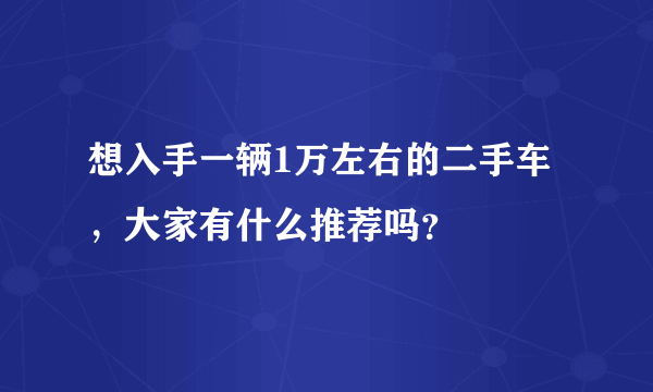 想入手一辆1万左右的二手车，大家有什么推荐吗？