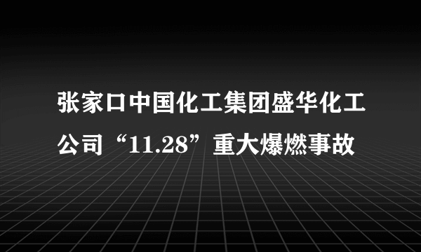 张家口中国化工集团盛华化工公司“11.28”重大爆燃事故