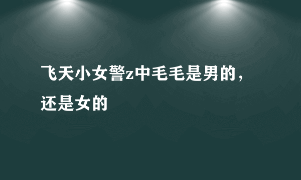 飞天小女警z中毛毛是男的，还是女的