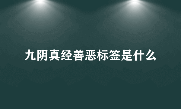 九阴真经善恶标签是什么
