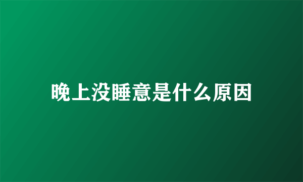晚上没睡意是什么原因