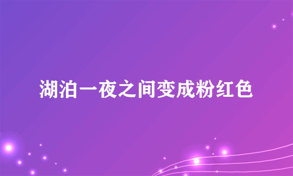湖泊一夜之间变成粉红色