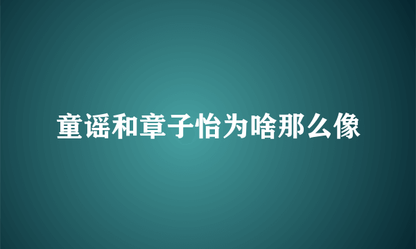 童谣和章子怡为啥那么像