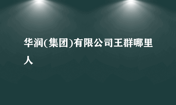 华润(集团)有限公司王群哪里人