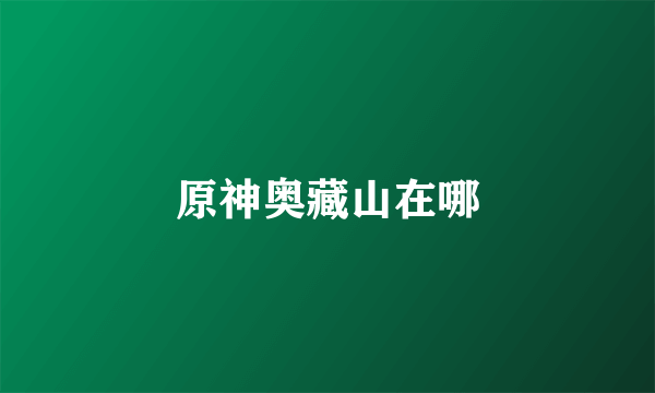 原神奥藏山在哪